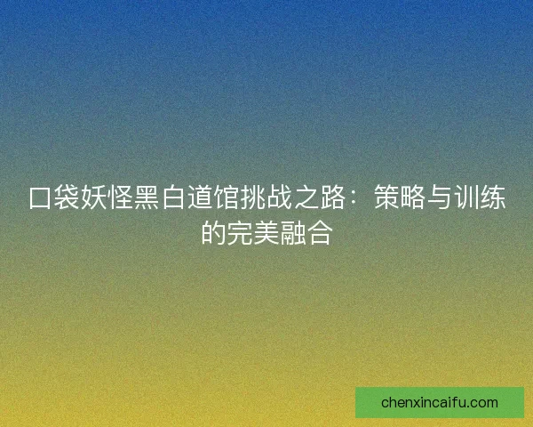 口袋妖怪黑白道馆挑战之路：策略与训练的完美融合
