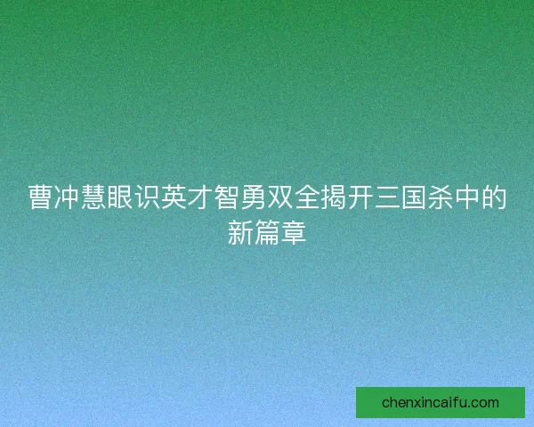 曹冲慧眼识英才智勇双全揭开三国杀中的新篇章