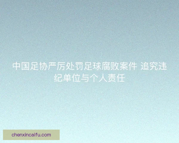 中国足协严厉处罚足球腐败案件 追究违纪单位与个人责任
